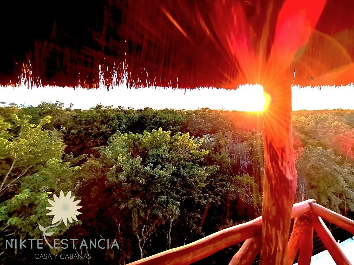 게스트하우스 Nikte Estancia Y Jardin 호텔 푸에르토 모렐로스 멕시코